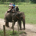 India & Nepal 2011 - 0539